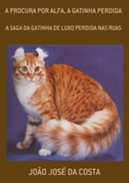 gato